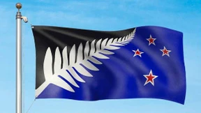 Ein Farnblatt und vier Sterne sollen auf Neuseelands neue Flagge