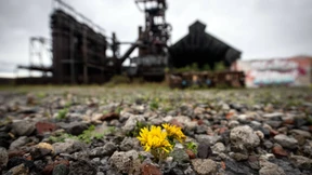 Der Mittelstand kappt seine Investitionen