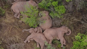 „Wir verlieren unseren Krieg gegen die Natur“