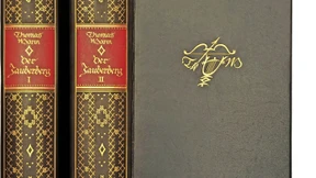 Zauberberg, wiedergelesen