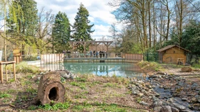 Artgerechtes Liebesnest für Frieda und Otto