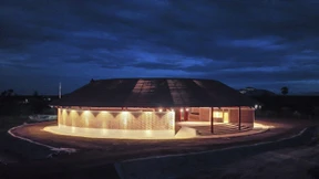 Der Gecko hat gut lachen