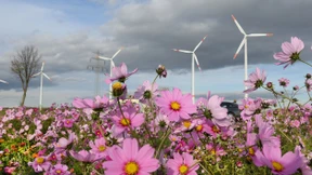 30 Prozent der Erdoberfläche sollen unter Schutz gestellt werden