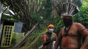 Pflanzenkraft gegen das Coronavirus