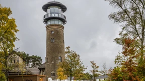 Alle wollen nach oben