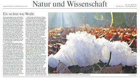 Das Klimalabor der Welt