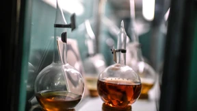 Amerikanischer Merck-Konzern stoppt Impfstoff-Entwicklung