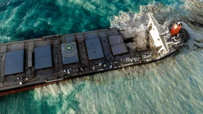 Meereslebewesen, Tourismus und Bewohner in Gefahr