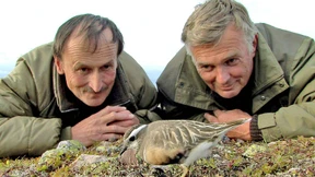 Als die Tiere den BR verließen