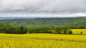 Heiter bis wolkig tanzen wir in den Mai