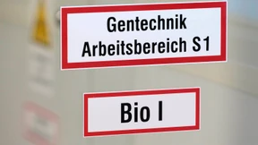 Der deutsche „Standard“ 