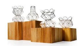 So lässt Salat sich schleudern