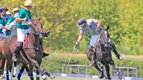 Pferde. Fleisch. Polo.