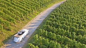 Wein ist das Luxusgut der Stunde