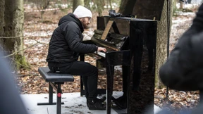 Ein Pianist spielt im Walde