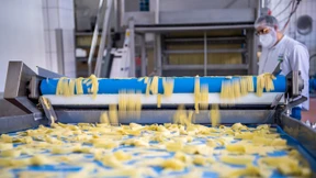 Ewigkeitschemikalie TFA ist fruchtschädigend