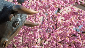 Börsenrally trotz Krisenangst: Anleger hoffen auf Stabilität