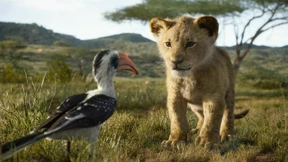 Barry Jenkins dreht „König der Löwen“-Fortsetzung