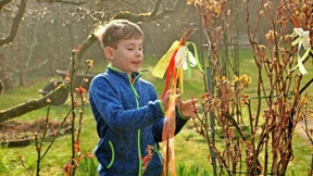 Gepeitscht fürs gute Wohl