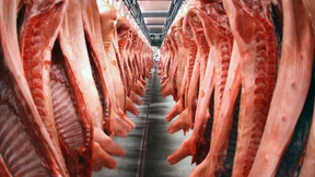 Der Weg zur Totvermarktung