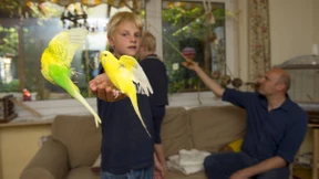 So hält man seine Haustiere artgerecht