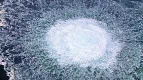 Was, wenn es Klimaaktivisten waren?