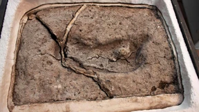 Ältester Fußabdruck Amerikas entdeckt