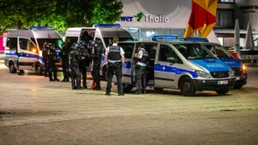 Bundesregierung kritisiert Begriff „Stammbaumforschung“