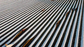 Drei polnische Erntehelfer nach Badeunfall gestorben