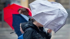 Weihnachtsbaum besser noch behalten