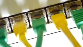 Initiative erprobt das katzenlose Netz