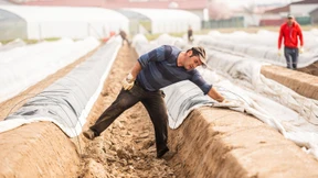 Im Flugzeug zum Spargelstechen