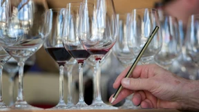 „Billiger Wein wird total unterschätzt“