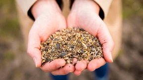 Balkonista aus Basel