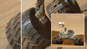 Ganz schön mitgenommen