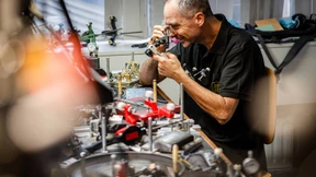 Hoffentlich wird es kein Pferdekopf