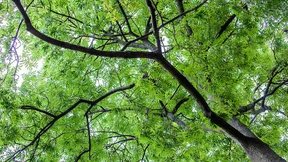 Hessen plant Volumen von 500 Millionen Euro