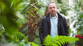 Netzwerker für Grünes