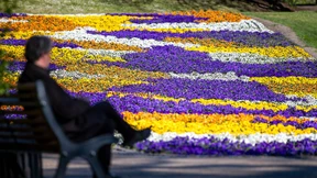 Der gefühlte Sommer geht zu Ende