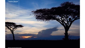 PUMA-Vorstand Jochen Zeitz als kluger Kopf in der legendären F.A.Z.-Kampagne