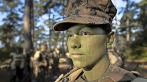 Bildersturm im Pentagon