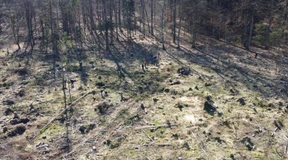 Energiegenossenschaften: Viel Geld von Bürgern für neue Windräder