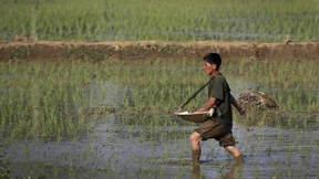 In Nordkorea wird die Nahrung knapp