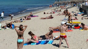 Giftqualle vor Palma gesichtet