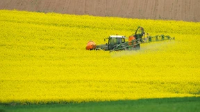 Die SPD ignoriert die Glyphosat-Studie
