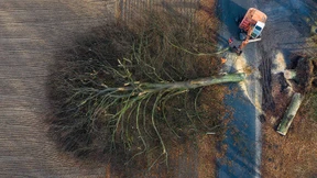 Sturmtief „Klaus“ sorgt für zahlreiche Einsätze