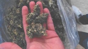 „Scheiß drauf, aber ist halt Berufsrisiko ;)))“