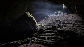 Die Ästhetik der Beinzeit