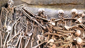 Museum eines Massensterbens