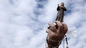 Im Reich der Kröten